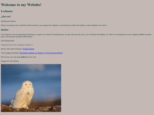 html/inicio screenshot