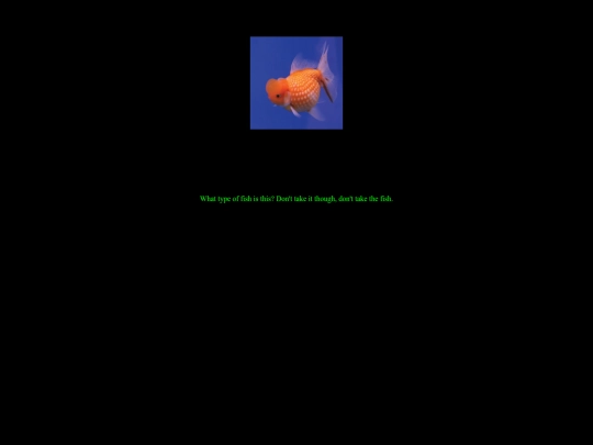 fish screenshot