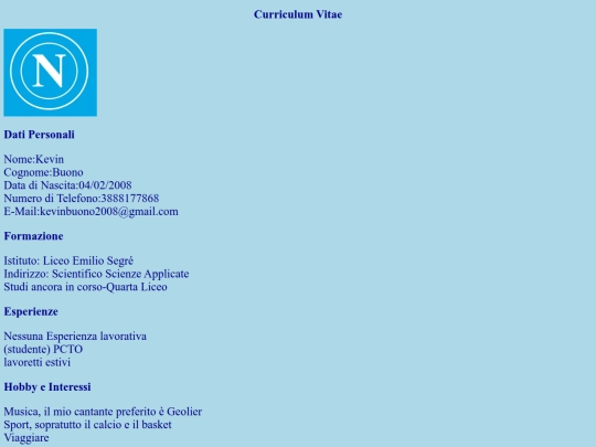 PAGINE/curriculumvitae screenshot