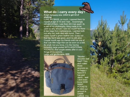 pg/n/bag screenshot