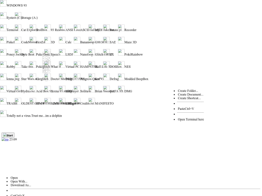 WINDOWS93 screenshot