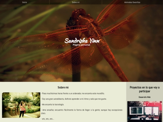 MOD2/webPersonal screenshot