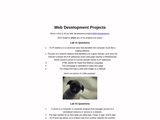 WebDev screenshot