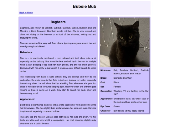 cats/bagheera screenshot