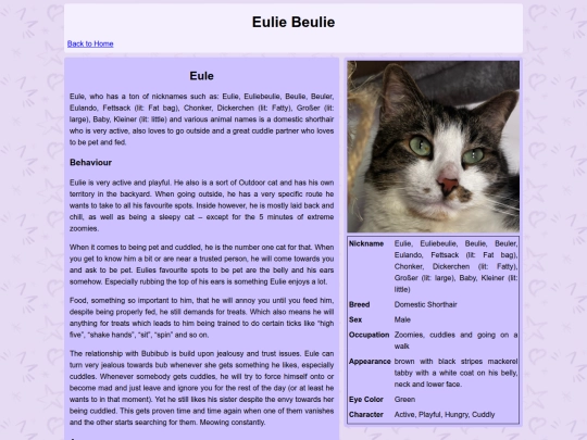cats/eule screenshot