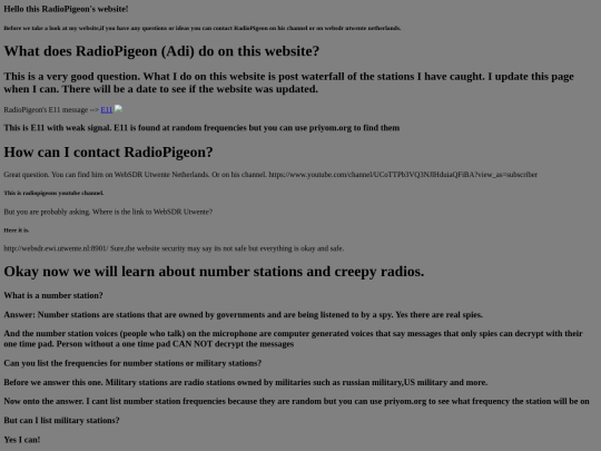 RadioWebsite screenshot