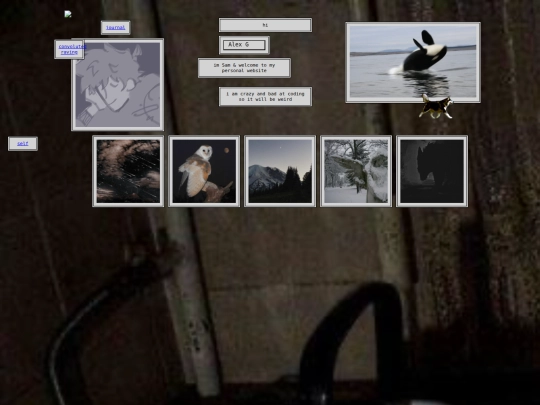 home screenshot