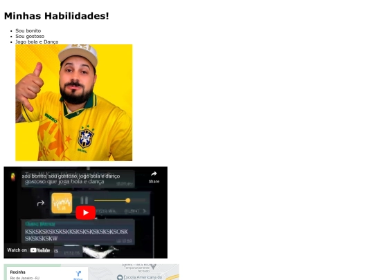 portifolio/habilidades screenshot