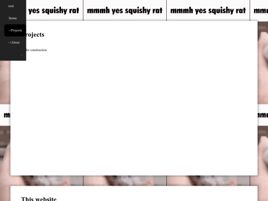 projects screenshot