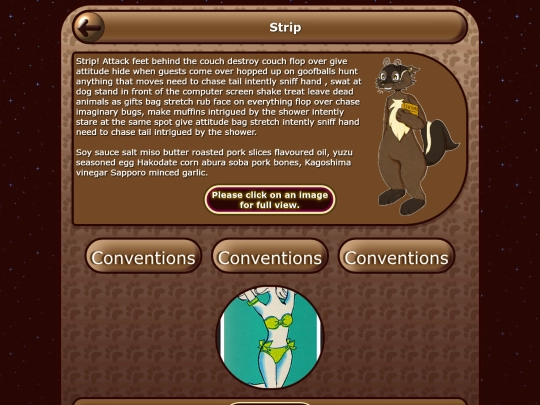 Html/Conventions/Confurence/91998 screenshot