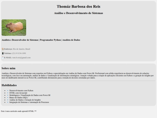 curriculo/Curriculo Estilizado/curriculo screenshot