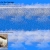 The web site of epicthumbmoment avatar