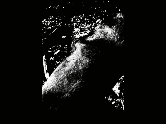 yylogo/earthface screenshot