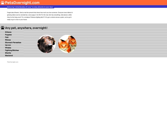 petsovernight screenshot