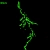 space_artifacts avatar