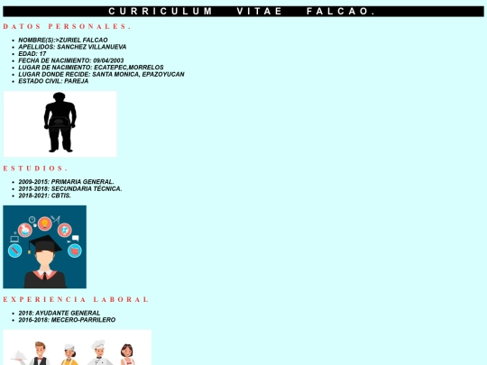 Sitio/Falcao/Curriculum screenshot