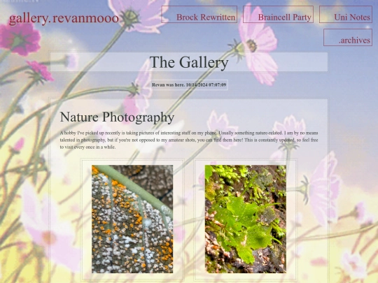 html/gallery screenshot