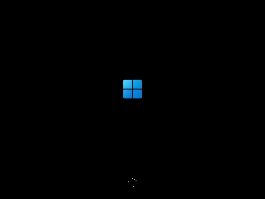 Bootloader11/windows11 screenshot
