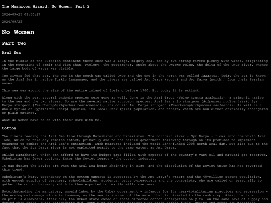 nowomen2 screenshot
