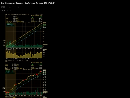 portfolio_update/20240920 screenshot