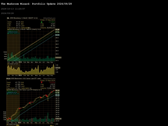 portfolio_update/20240928 screenshot