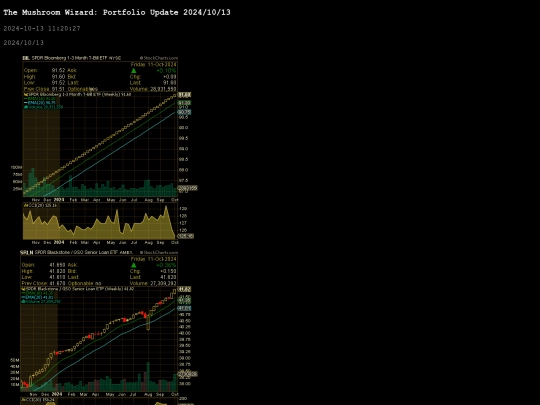 portfolio_update/20241013 screenshot