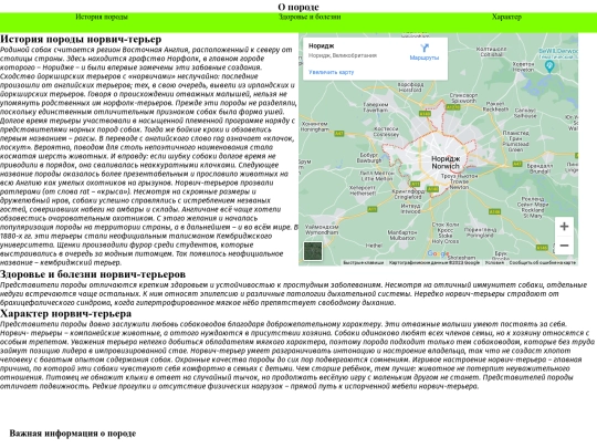 проект мшп/about screenshot