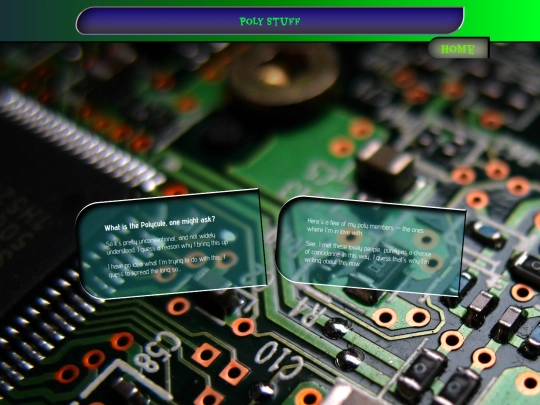 poly screenshot