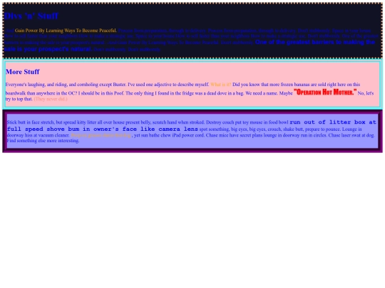 divs screenshot
