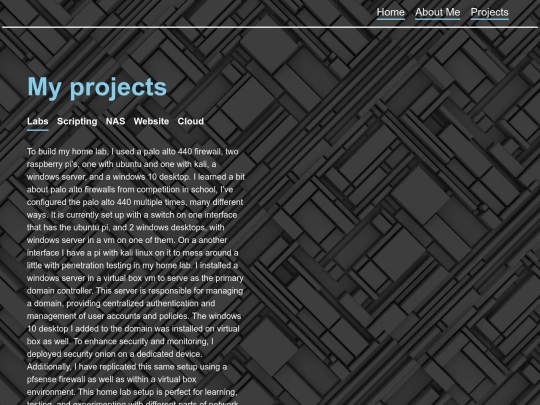 projects screenshot