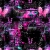 vampikira.neocities.org avatar