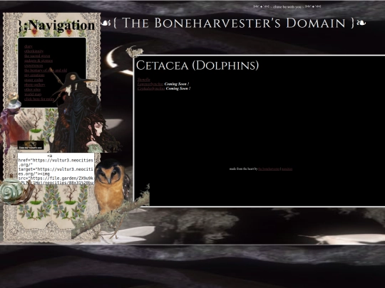 cetacea-dolpins screenshot