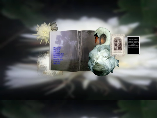 diary/entries screenshot