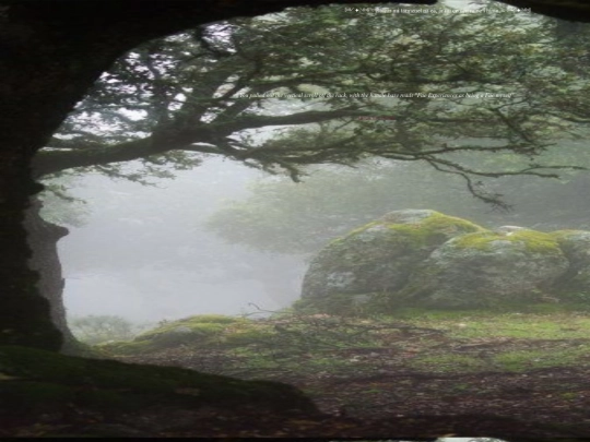 working-with-the-fae-as-a-fae-being screenshot