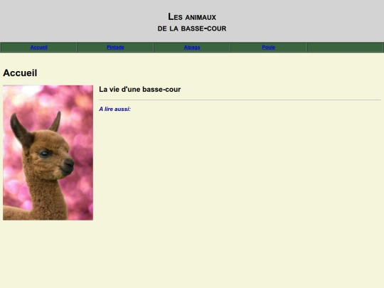 alpaga screenshot