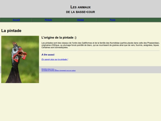 pintade screenshot