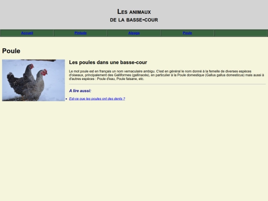 poule screenshot