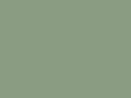 catsphone screenshot