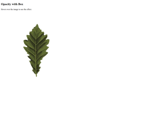 prueba screenshot