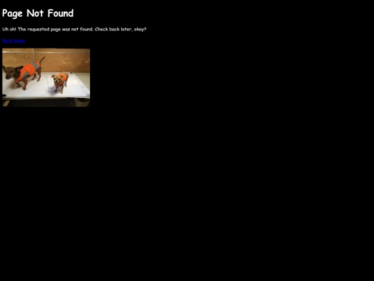 not_found screenshot