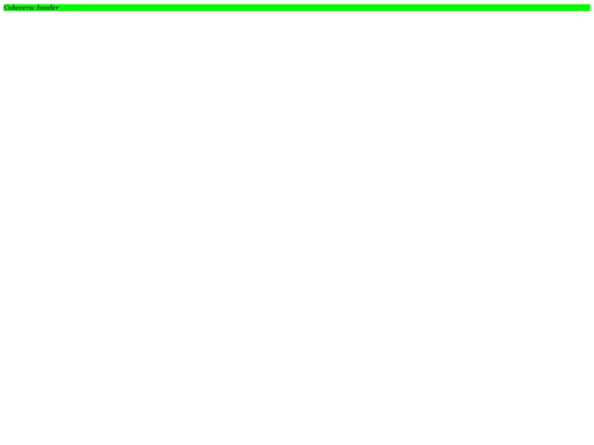 p2p_opcional_modulo2_tema2 screenshot