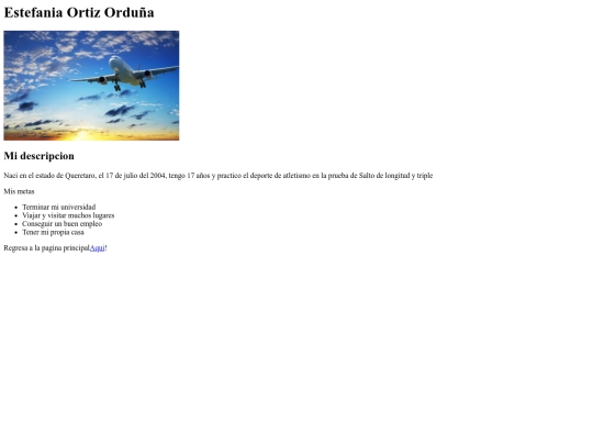 Mis metas screenshot
