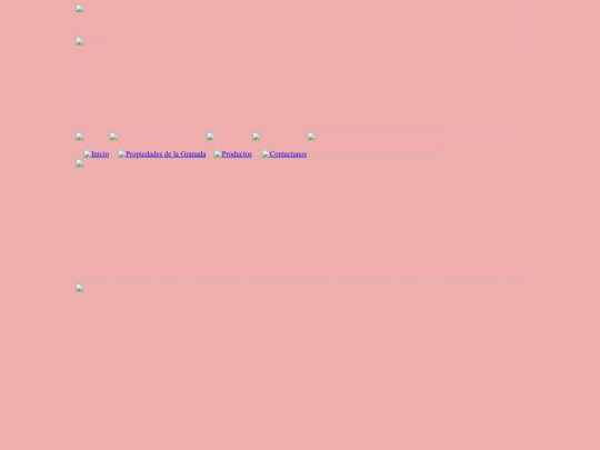 Inicio screenshot