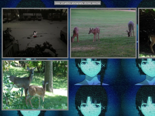 photography screenshot