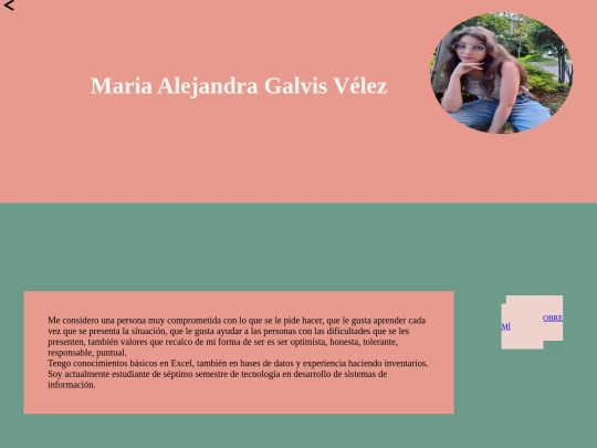 HOJA_DE_VIDA/hdv screenshot