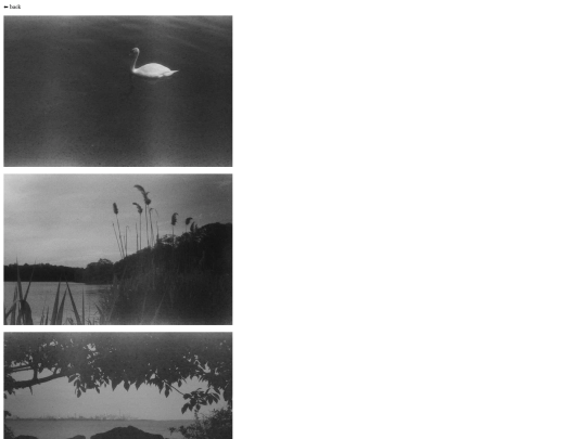 photo/2021-bw screenshot