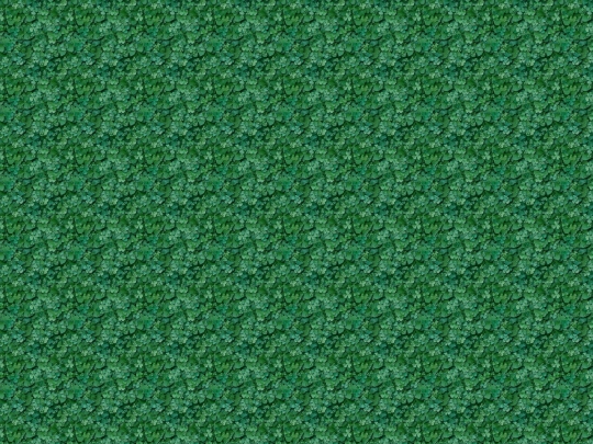 green screenshot