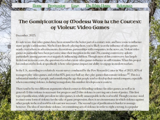 essay screenshot