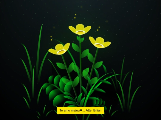 Flores screenshot