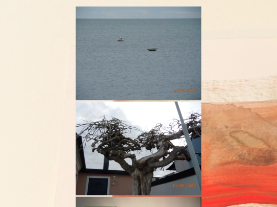 simrishamn screenshot